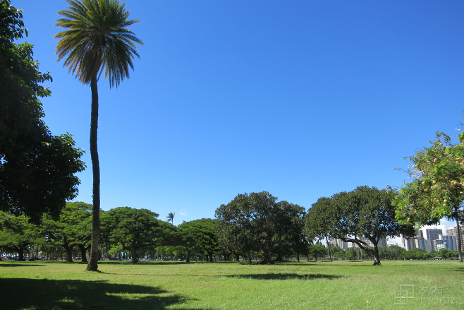 カピオラニ公園・ハワイ