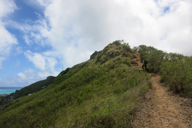 ハイキングコース／カイヴァリッジトレイル・ピルボックス ハイク(Kaiwa Ridge Trail・Pillbox Hike）